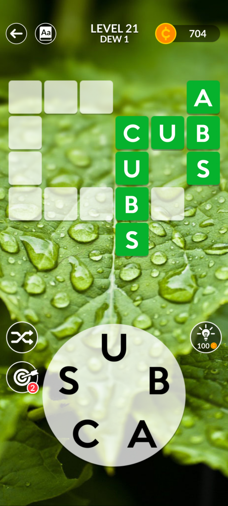 step 2: C-U-B-S