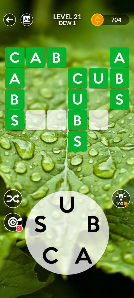 step 5: C-A-B-S