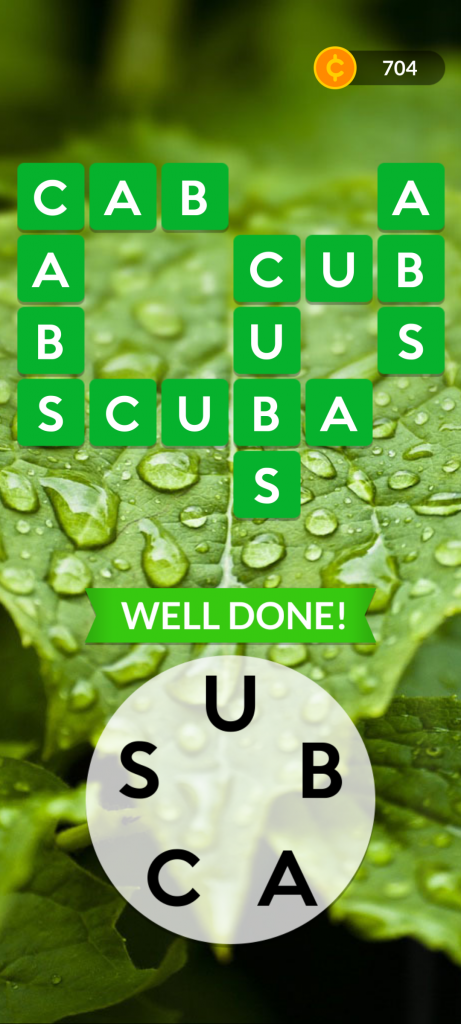 step 6: S-C-U-B-A