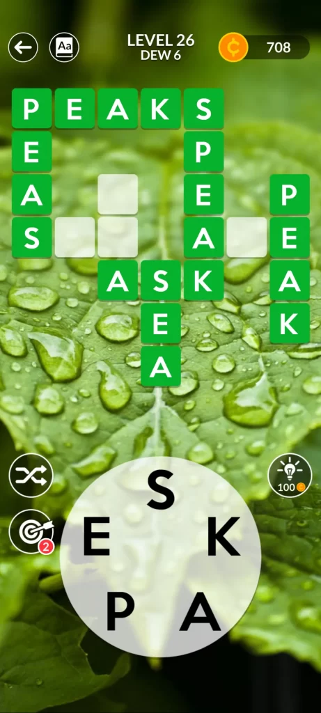 step 6: P-E-A-S