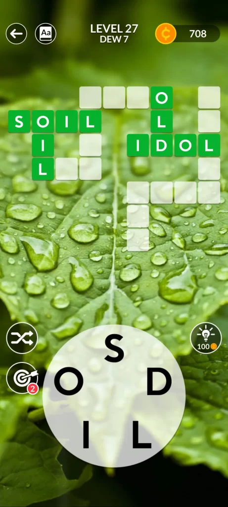 step 4: S-O-I-L