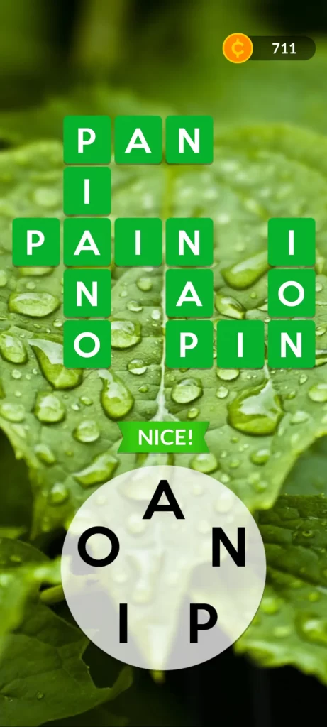 Wordscapes Level 29 Answers, Completed Screen
