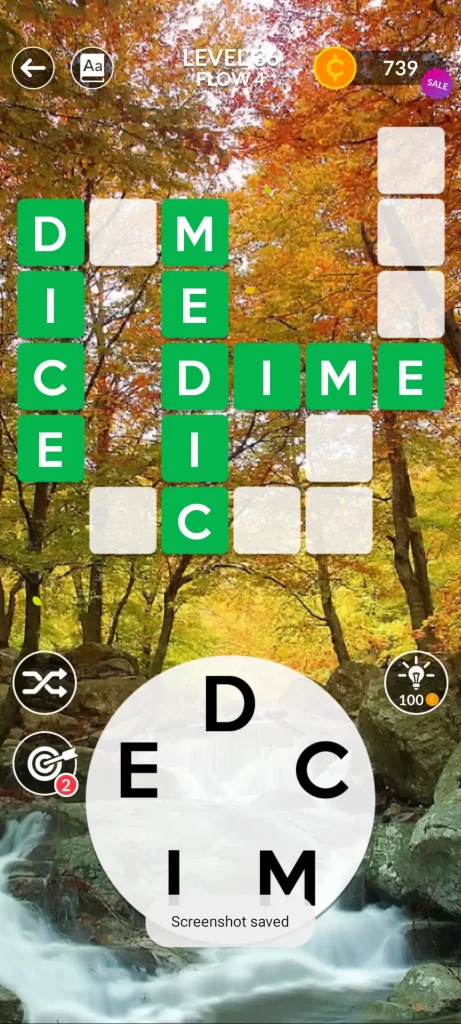 step 3: D-I-C-E