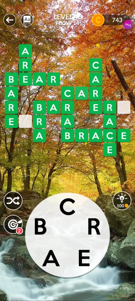 step 10: CAR