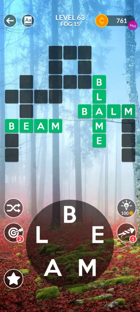 level63-step3-BALM