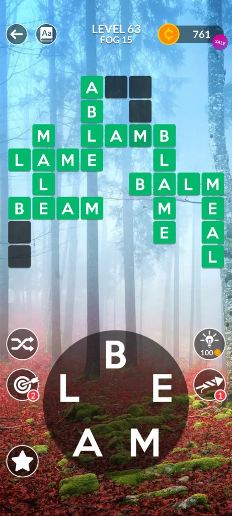 level63-step8-LAMB