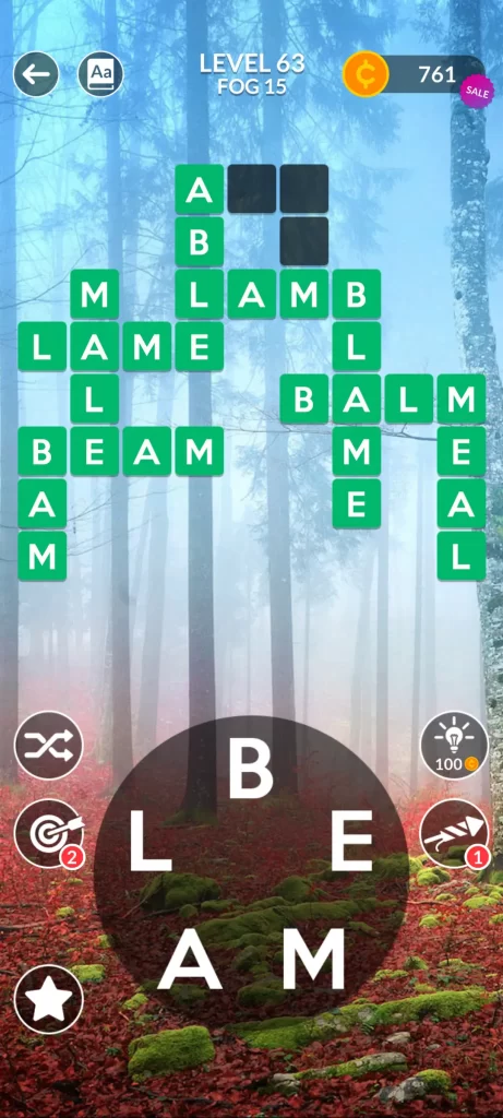 level63-step9-BAM