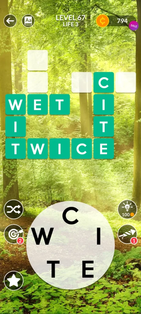level67_step4_wit
